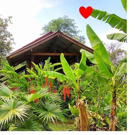 Pencave Homestay Pang Mapha Экстерьер фото