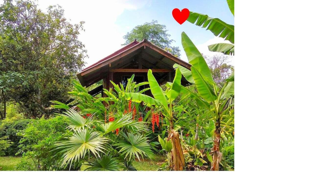Pencave Homestay Pang Mapha Экстерьер фото